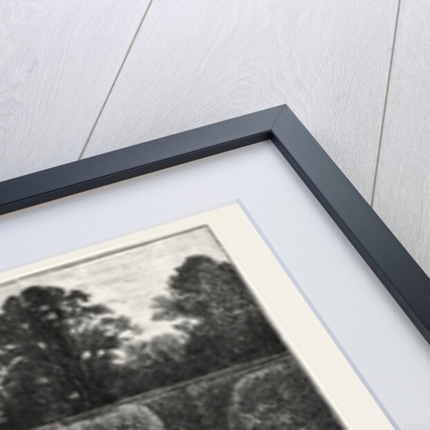 Love in a Maze by Anonymous