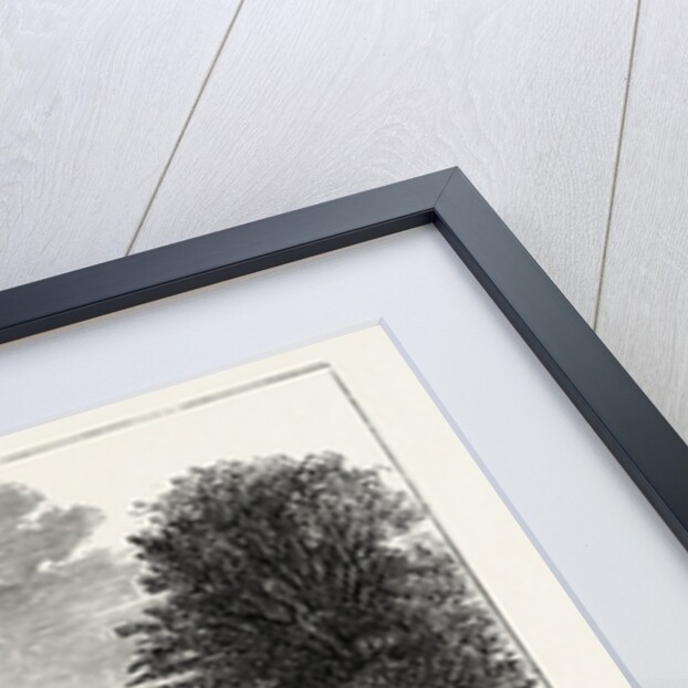 Inauguration of the Holyhead Breakwater and Harbour of Refuge by H.R.H. The Prince of Wales: Penrhos, Garden Front, Wales by Anonymous