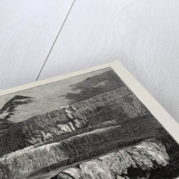 Hot Lakes of New Zealand: The Tattooed Basin, Tarata by Anonymous