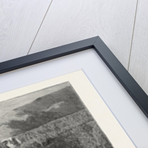 Hot Lakes of New Zealand: The Tattooed Basin, Tarata by Anonymous