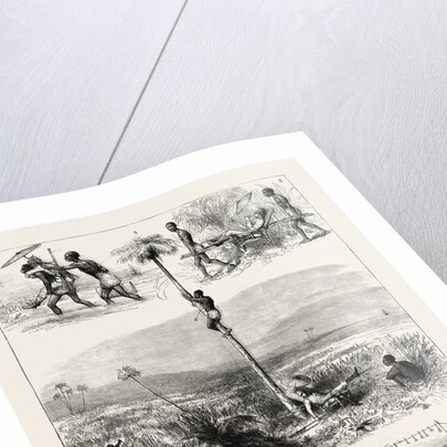 The Ashantee War: How I Took Coomassie by Anonymous