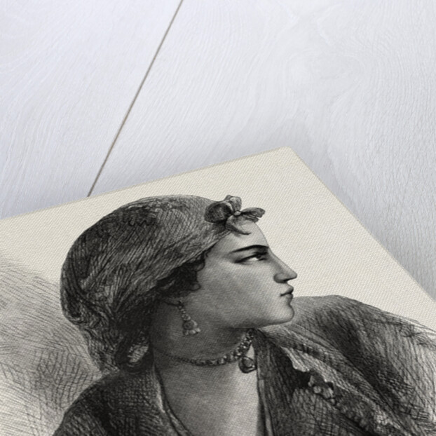 A Nubian Girl by Anonymous