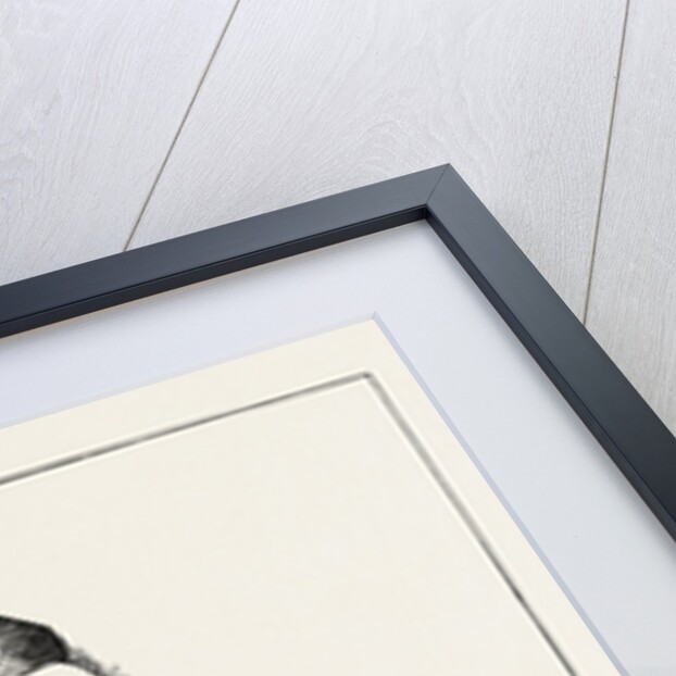 Sir Cowasjee Jehangir Readymoney, K.C.S.I. by Anonymous