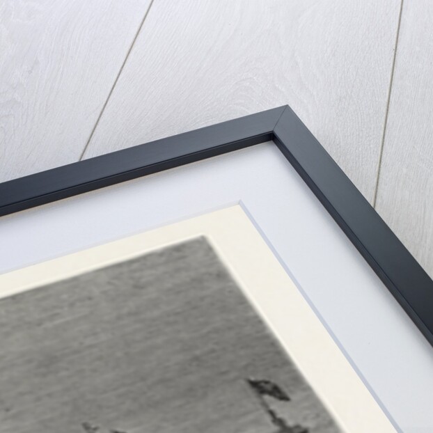 The Naval Review at Spithead: The Shah in the Royal Yacht Victoria and Albert Inspecting the Fleet by Anonymous