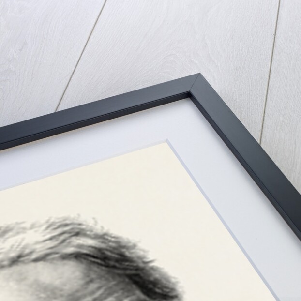 The Hon. Stephen Lushington, P.C., D.C.L. by Anonymous