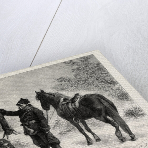 Coursing in Poland: Caught at Last by Anonymous