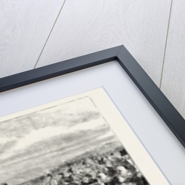 The Review Before Queen Victoria at Aldershot: A Cavalry Charge, Halt by Anonymous