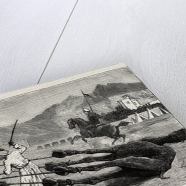 The Campaign in Afghanistan: A Camel's Funeral Procession by Anonymous