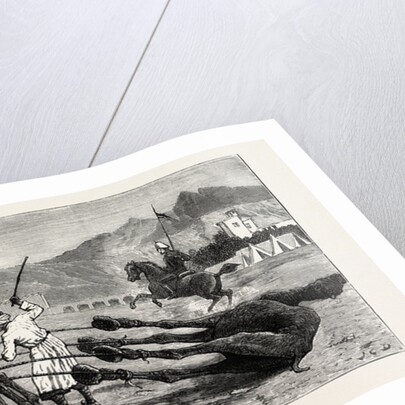 The Campaign in Afghanistan: A Camel's Funeral Procession by Anonymous