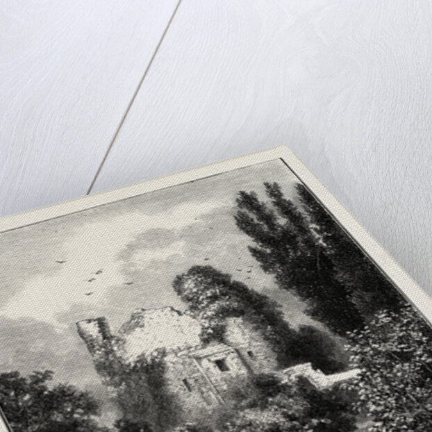 Remains of Ancient Castle, Hawarden Park, Wales by Anonymous