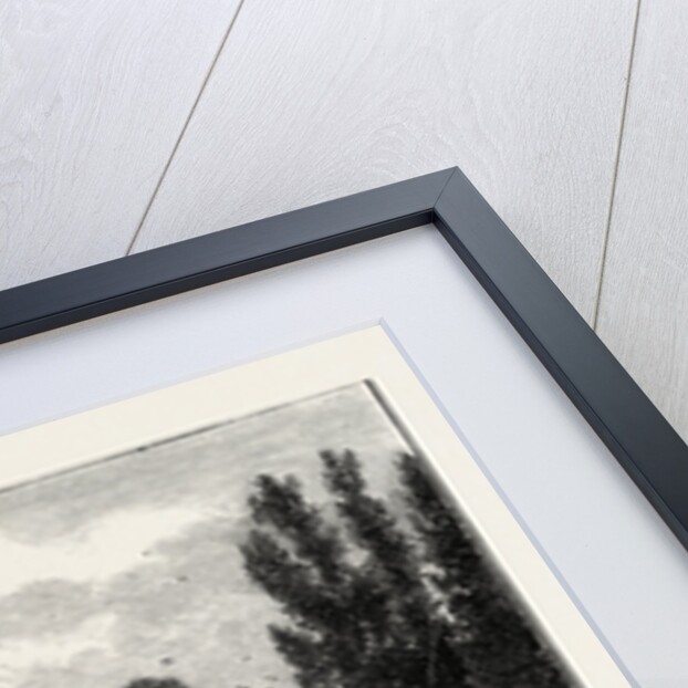 Remains of Ancient Castle, Hawarden Park, Wales by Anonymous