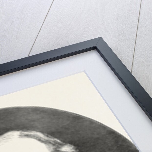 The Right Hon. W.E. Gladstone, M.P. by Anonymous