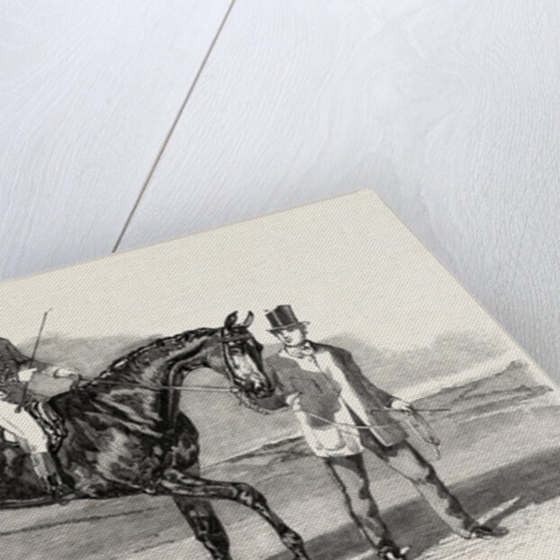 Sweetsauce: The Winner of the Stewards' and the Goodwood Cups, UK by Anonymous