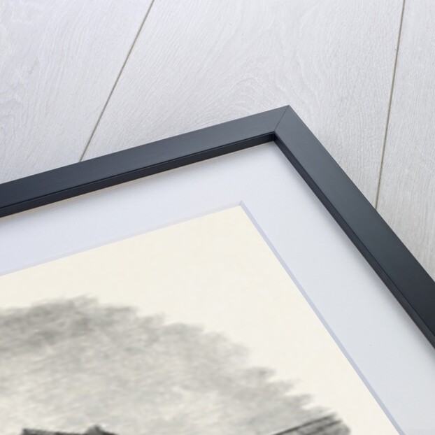 The Railway Accident at Granton, Near Edinburgh, Scotland, Great Britain, UK by Anonymous