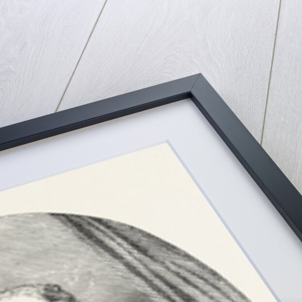 Count Gyldenstolpe, Grand Marshal of Sweden by Anonymous