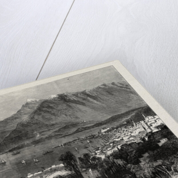 The Town of Beyrout and Mount Lebanon by Anonymous
