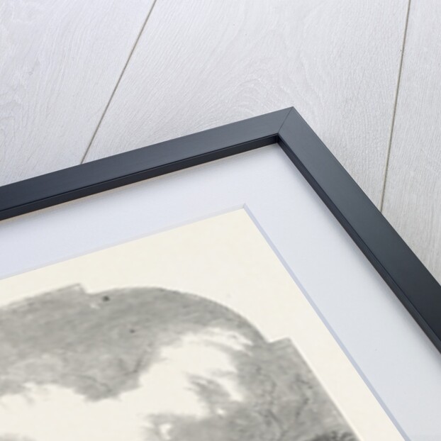 The Relief of Lucknow by Anonymous