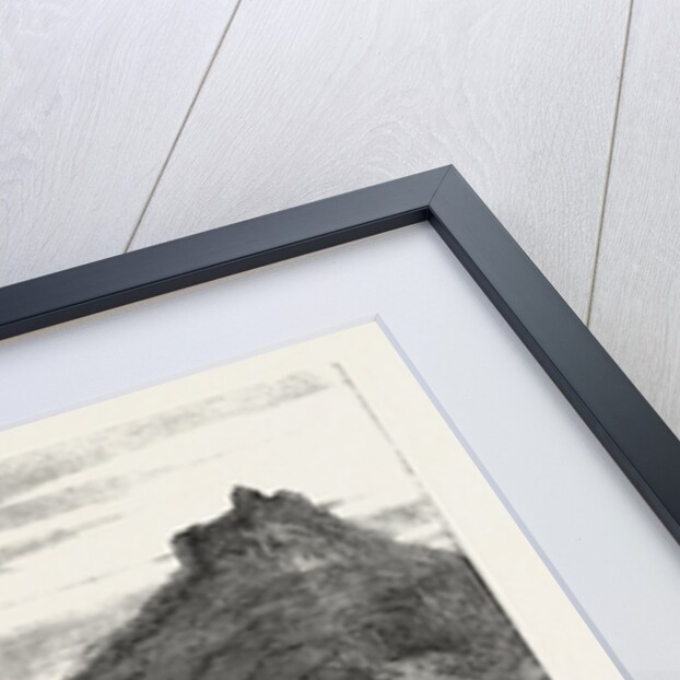 The Revolution in Sicily: Calatafimi, Italy by Anonymous