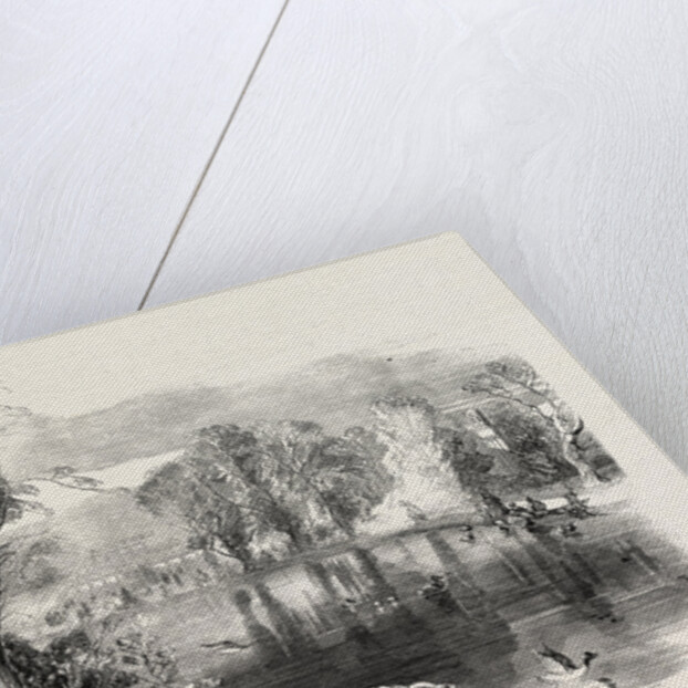 The New Lake, Kew Gardens, London by Anonymous