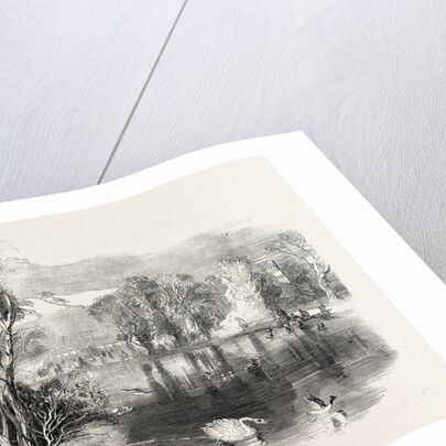 The New Lake, Kew Gardens, London by Anonymous