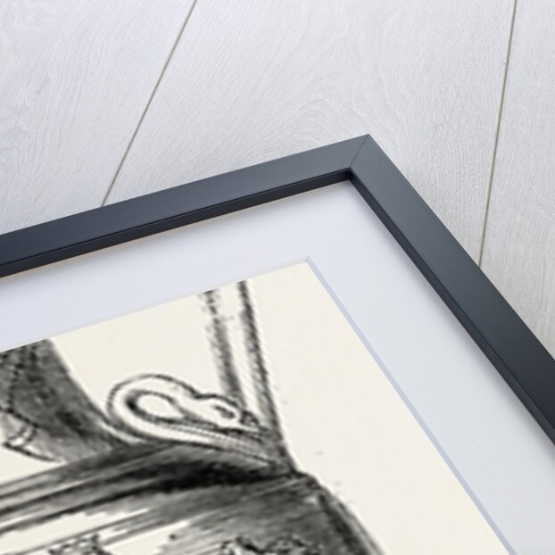 The Prince Consort's Cup, Sailed for at the Royal Yacht Squadron Regatta by Anonymous