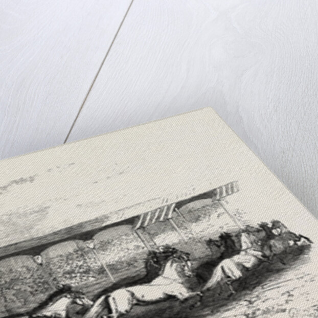 The Paris Hippodrome: Seventeen Horses Driven by M. Marin, France by Anonymous