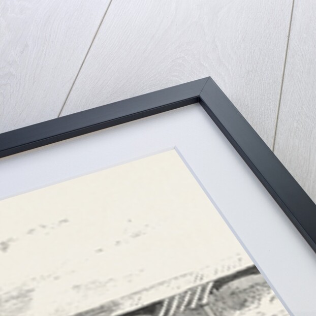 The Paris Hippodrome: Seventeen Horses Driven by M. Marin, France by Anonymous