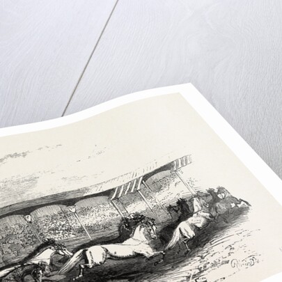 The Paris Hippodrome: Seventeen Horses Driven by M. Marin, France by Anonymous