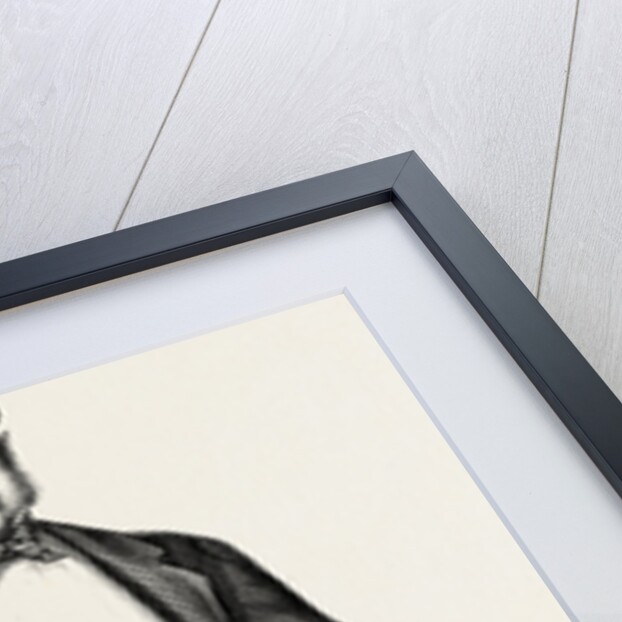 Mr. Edwin James, Q.C., in Garibaldi's Camp by Anonymous