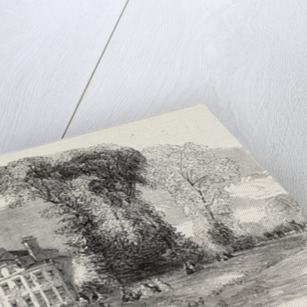 Fete at Denham Court, Near Uxbridge, UK by Anonymous