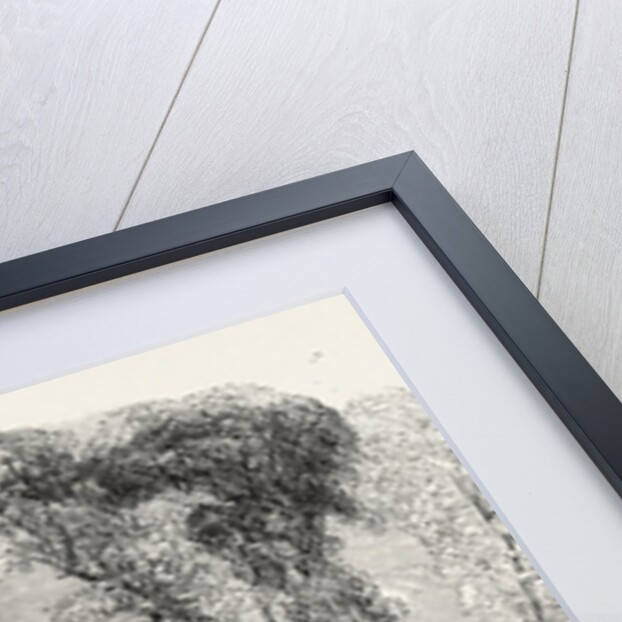 Fete at Denham Court, Near Uxbridge, UK by Anonymous