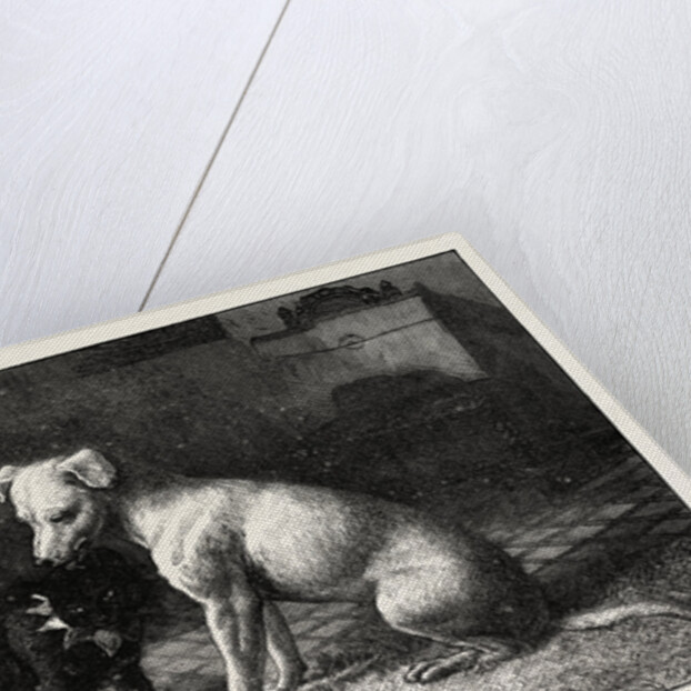 Landseer's Pet Dog Tiney and Pet Cat by Anonymous