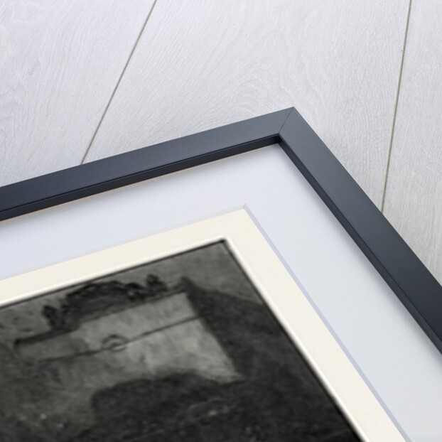 Landseer's Pet Dog Tiney and Pet Cat by Anonymous