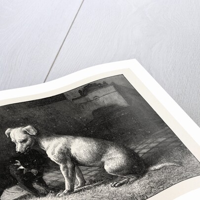 Landseer's Pet Dog Tiney and Pet Cat by Anonymous
