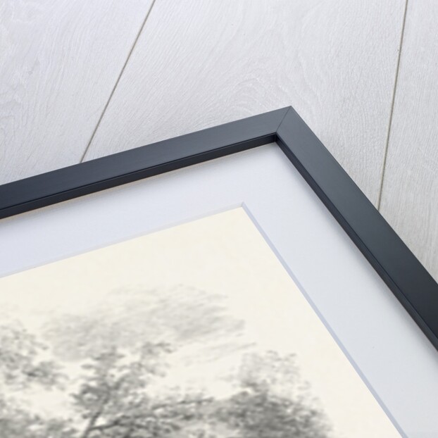 Sketches of South African Travel: The Lion and Dead Elephant by Anonymous