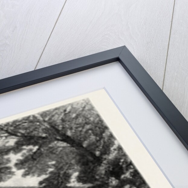 The King of Ashantee's Palace at Coomassie, Viewed from the East by Anonymous