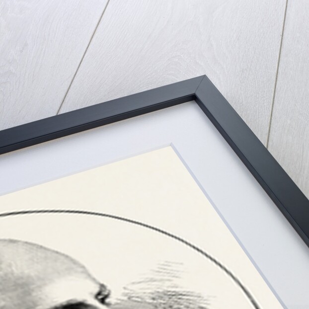 Mr. Edward Jenkins, M.P. for Dundee by Anonymous