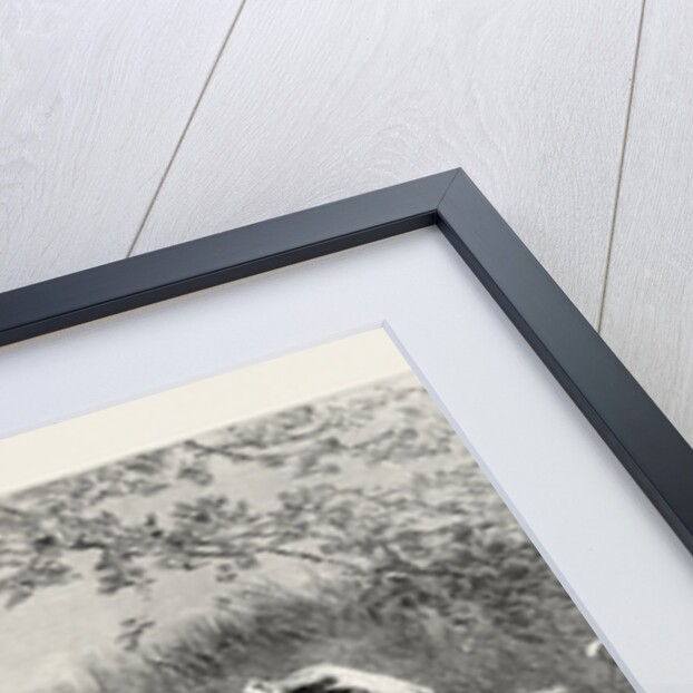 A Shady Nook by Anonymous