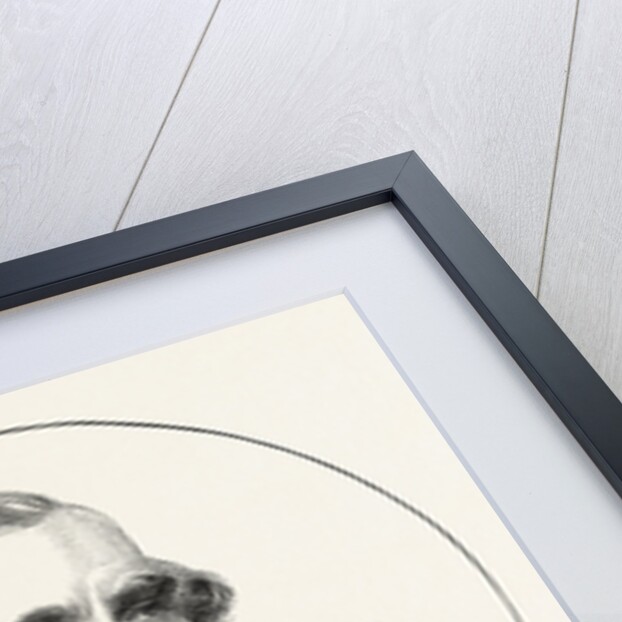 Mr, A. M'Donald, M.P. for Stafford by Anonymous