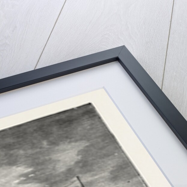 The Cunard Steamship Gallia by Anonymous