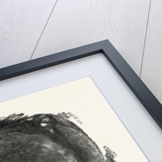 Face Lighted by Footlights by Anonymous