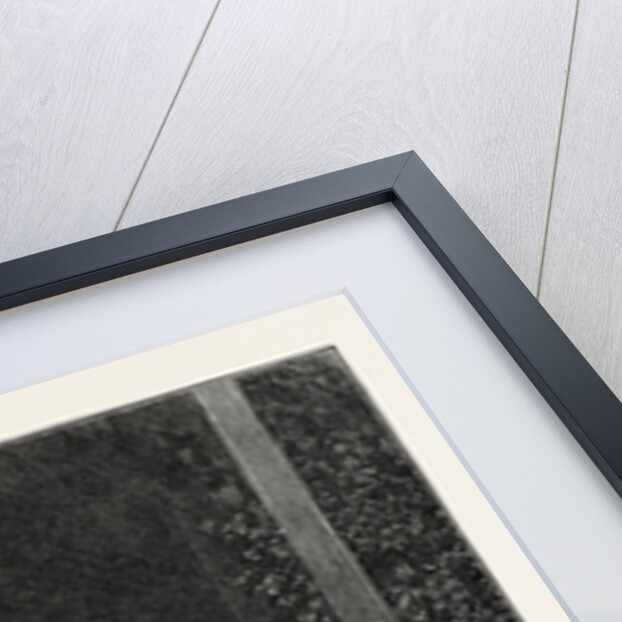 Mrs. Frances Anna Kemble by Anonymous