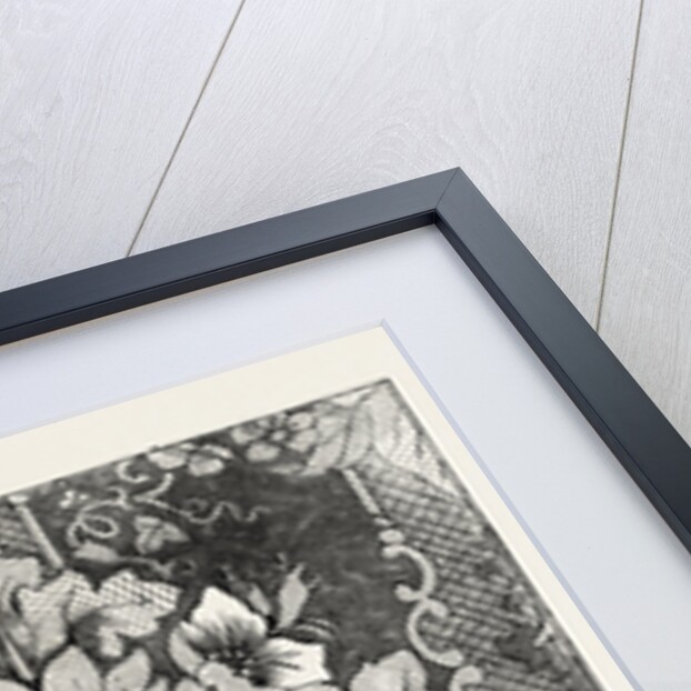 Damask, Halifax by Anonymous