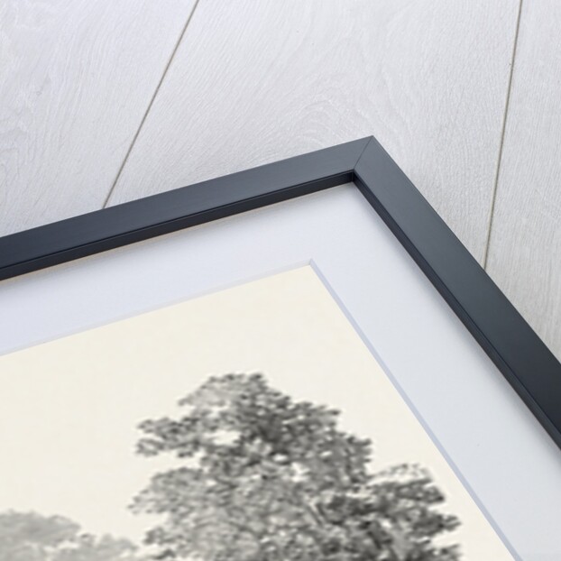 St. Nicholas Church, Arundel by Anonymous