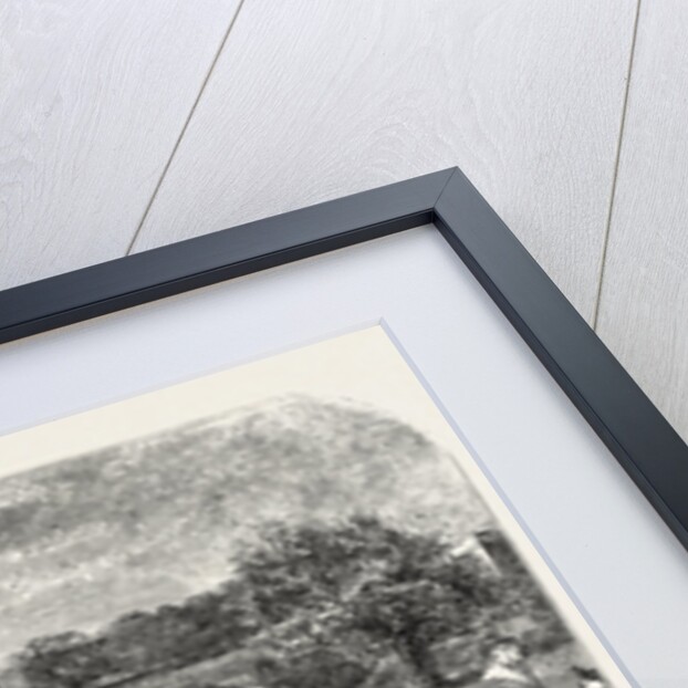 Raising the Maypole by Anonymous