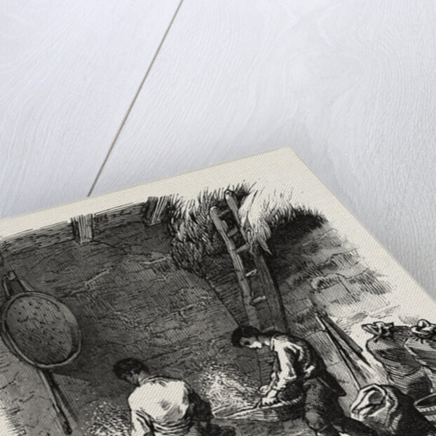 French Agriculture: Winnowing by Anonymous