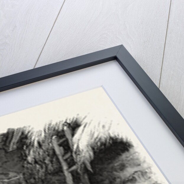 French Agriculture: Winnowing by Anonymous