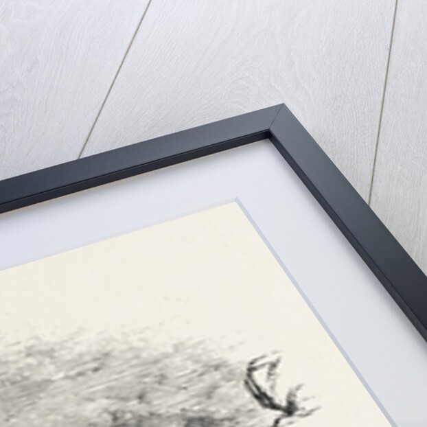 Part of Styhead Pass, Lake District by Anonymous