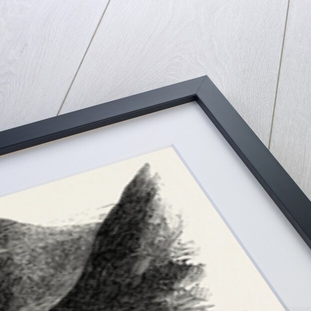 Crummock Water, from Lanthwaite Woods, Lake District by Anonymous