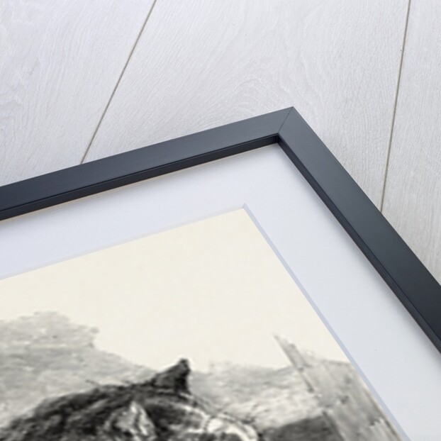 Tortoiseshell Tom Cat by Anonymous